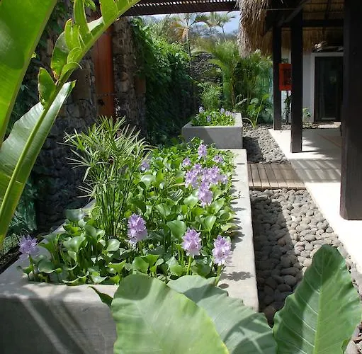 Casa Almendra Hotel *
